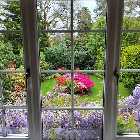 Little Robin Gate - Free Parking - Central - 10 Min Walk To Train Station Bornemouth Extérieur photo