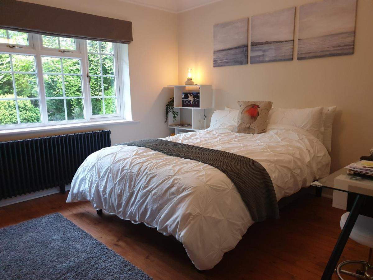 Little Robin Gate - Free Parking - Central - 10 Min Walk To Train Station Bornemouth Extérieur photo