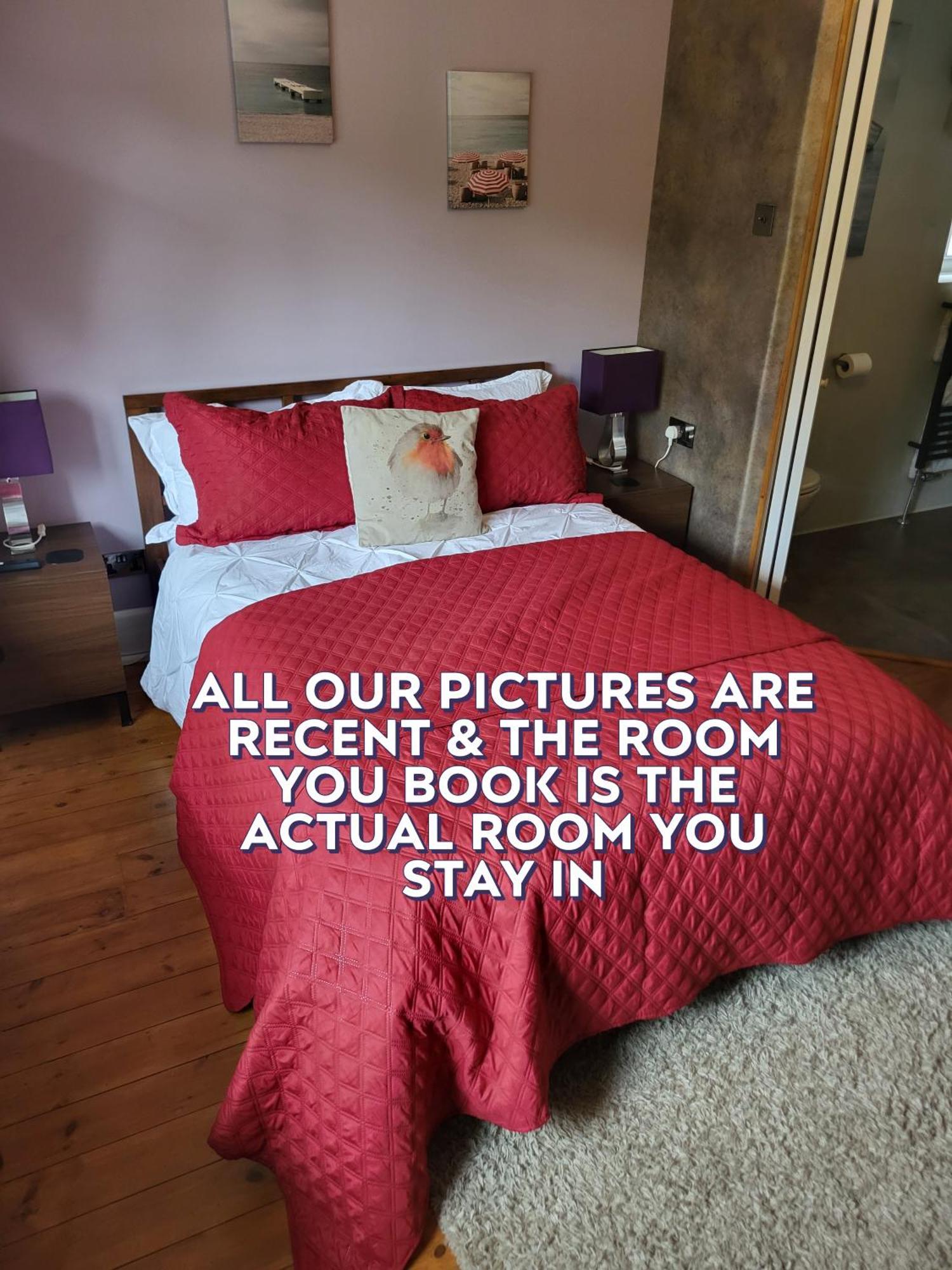 Little Robin Gate - Free Parking - Central - 10 Min Walk To Train Station Bornemouth Extérieur photo