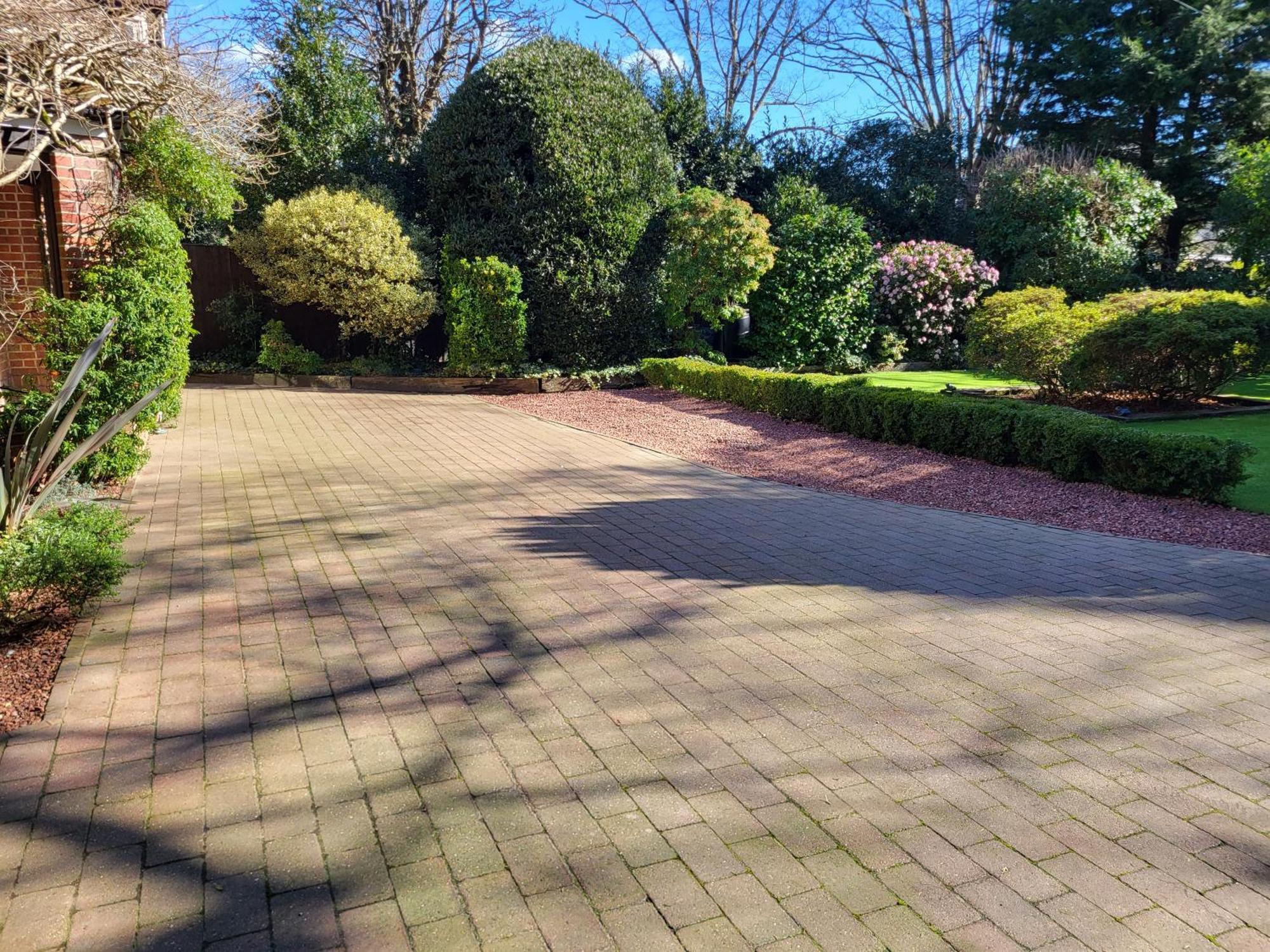 Little Robin Gate - Free Parking - Central - 10 Min Walk To Train Station Bornemouth Extérieur photo