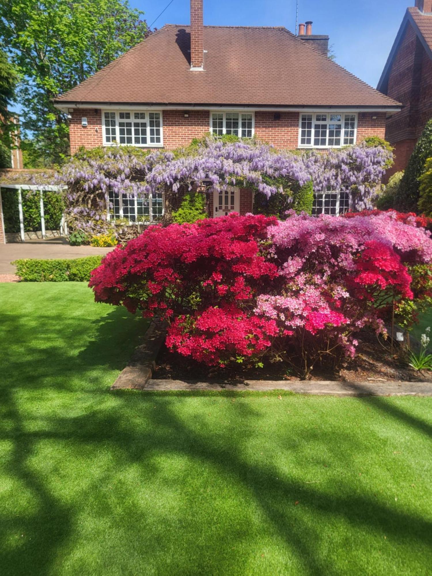 Little Robin Gate - Free Parking - Central - 10 Min Walk To Train Station Bornemouth Extérieur photo